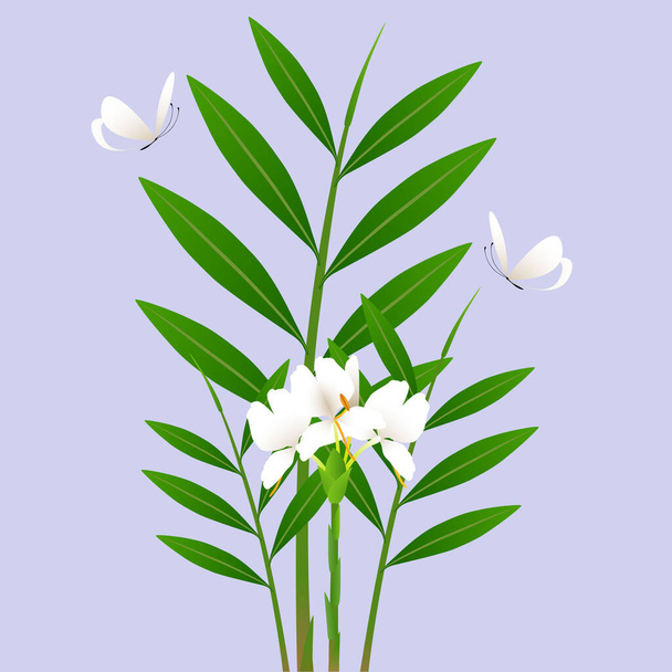 Bouquet with white lilies and butterflies on a purple background. - Vector, Image