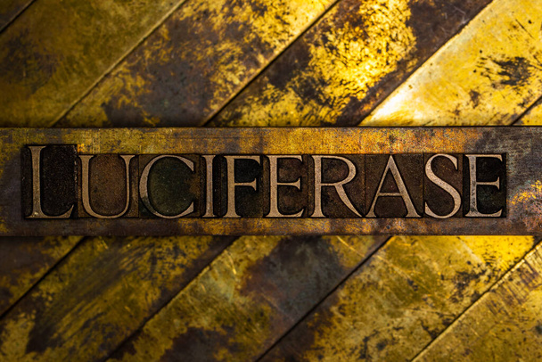 Luciferase text on vintage textured grunge copper and gold background - Photo, Image
