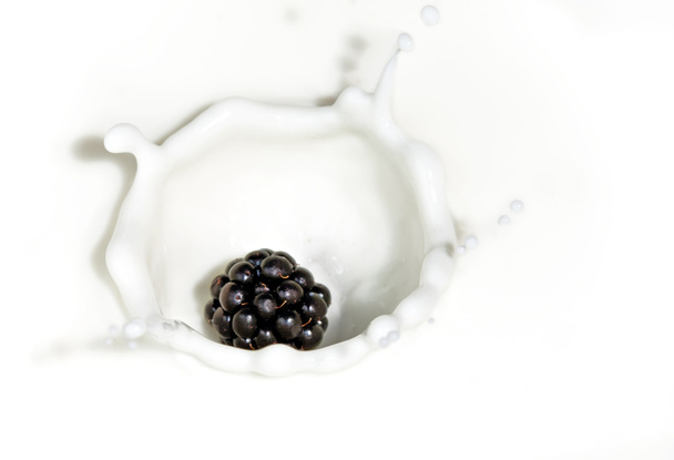 The blackberry falling in milk - Φωτογραφία, εικόνα