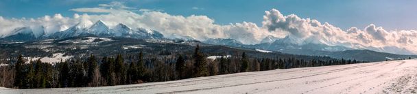 Bela paisagem de primavera com vista para as Montanhas Tatra - Foto, Imagem