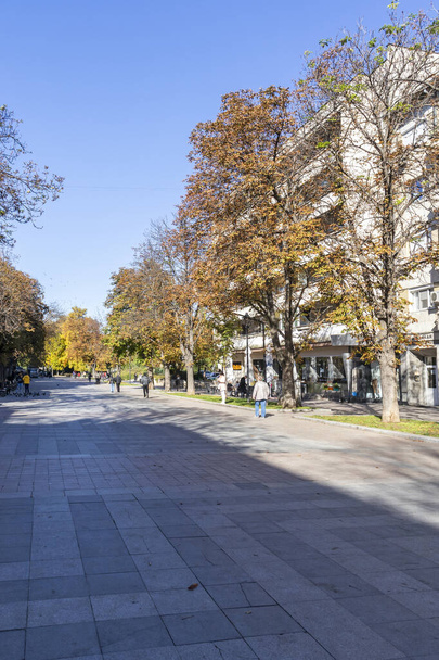 RUSE, BULGARIA -NOVEMBER 2, 2020: Typical Building and street at the center of city of Ruse, Bulgaria - Valokuva, kuva