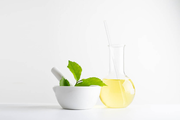 laboratory and research with alternative herb medicine natural skin care - Foto, afbeelding