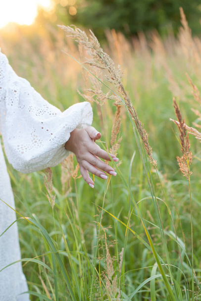 Nuori tyttö agronomi koskettaa kädellään kultainen spikelets kypsä vehnä lähikuva. - Valokuva, kuva