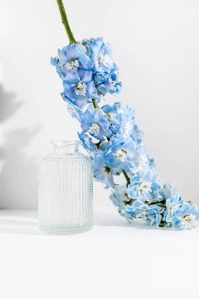A glass vase with a flower stands on a white background. - Фото, изображение