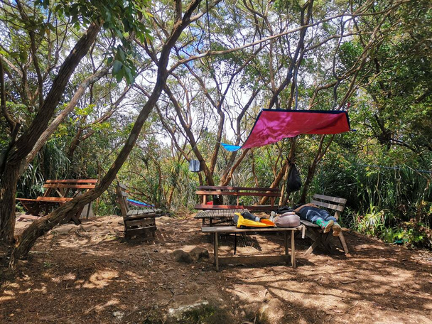 熱帯雨林の山の木々に囲まれた木製のピクニックテーブルとベンチ。熱帯林やジャングルの中でハイキングをする人のためにリラックスする場所。マレーシアのグヌンパンティ - 写真・画像