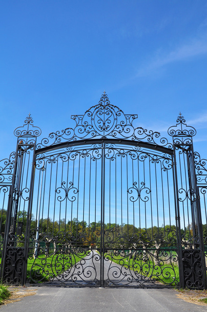 Cancello in ferro battuto visto da vicino sotto il cielo blu
 - Foto, immagini
