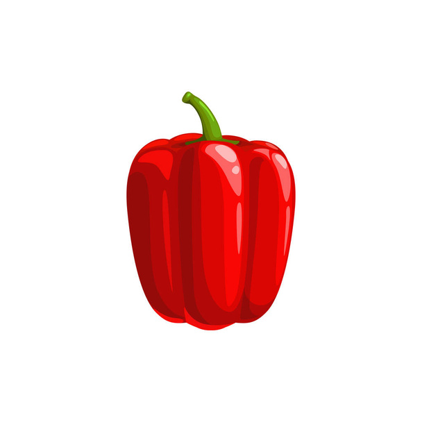 Sweet bulgarian pepper isolated veggie realistic design. Vector edible bellpepper, raw organic natural capsicum bell pepper. Ripe vegetable, vegetarian food, red tasty bellpepper 3D icon - Vector, Image