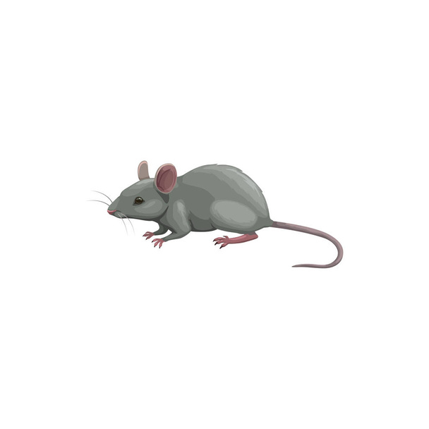 Mouse icon, pest control, rodents extermination and deratization service, isolated vector. Mouse rodent and vermin animal, domestic and agriculture sanitary disinfestation, pest control service symbol - Vector, Image