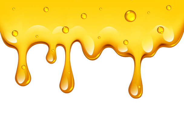 Realistic golden dripping honey border on white background, vector illustration - Vector, Image