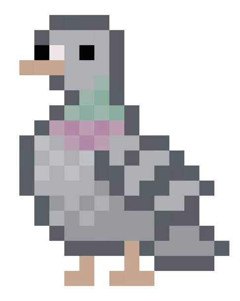 Roztomilý pixelový holub - vektor, izolovaný - Vektor, obrázek