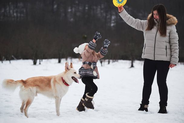 Kavkazská žena s dívkou hrát ve sněhu se svým psem. Mix plemeno pes se snaží chytit létající talíř s ústy. Aktivní energické plemeno Shepherd a Husky. Rodina matka dcera a domácí mazlíček. - Fotografie, Obrázek
