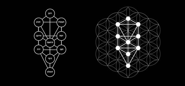 Векторний символ Кабала ізольований. Священна геометрія і дерево наочного зображення - Вектор, зображення