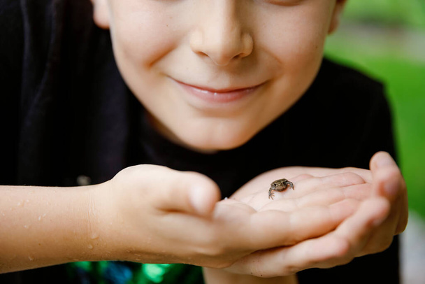 Beautiful school preteen kid boy holding small wild frog. Happy curious child watching and exploring animals in nature. - Photo, Image