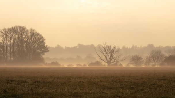 Mlhavé ráno na venkově v Anglii bez lidí. - Fotografie, Obrázek