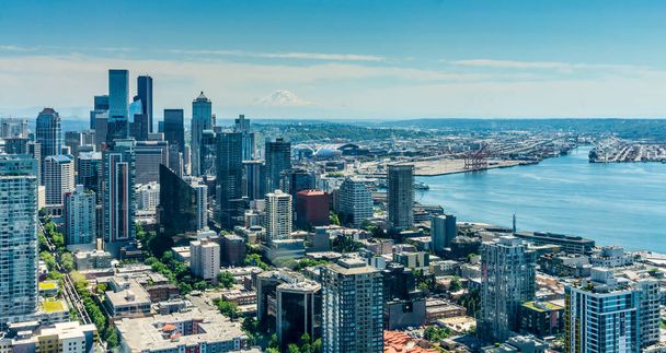 Buildings in downtoan Seattle with Mount Rainier in the Distance. - Photo, Image