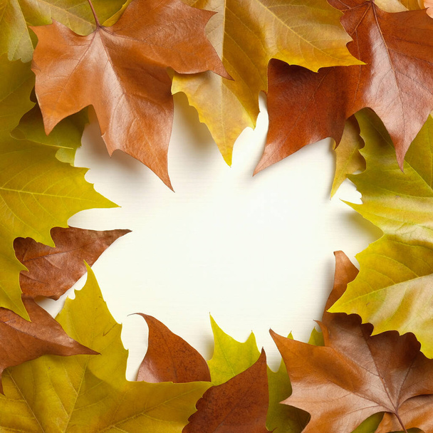Frame made of maple leaves. Autumn background. Thanksgiving Day greeting card mockup - Fotó, kép