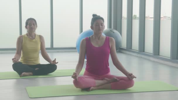 Evde meditasyonla yoga yapan genç kadın ve arkadaşlar, kulüpte sağlık, aktivite ve eğitim sporu için spor, antrenman ve sükunet içinde Lotus ile kadın pozu.  - Video, Çekim