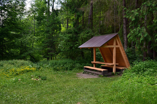 В летнем лесу с правой стороны есть деревянная скамейка для отдыха, покрытая крышей. Слева есть место для текста - Фото, изображение