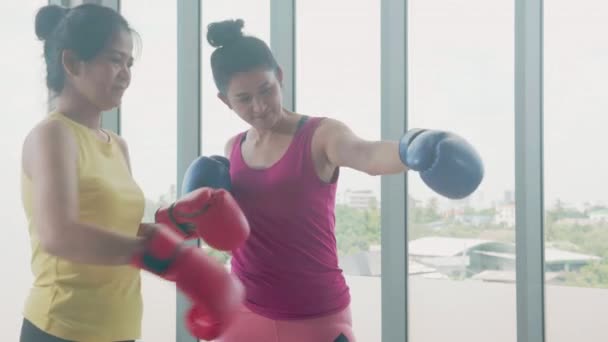 Mladá asijská žena a trenér ve sportovním oblečení nosit rukavice cvičení s boxem společně v tělocvičně klubu, ženské a partnerské cvičení s boxerské punč sport ve fitness, dva lidé, vnitřní. - Záběry, video