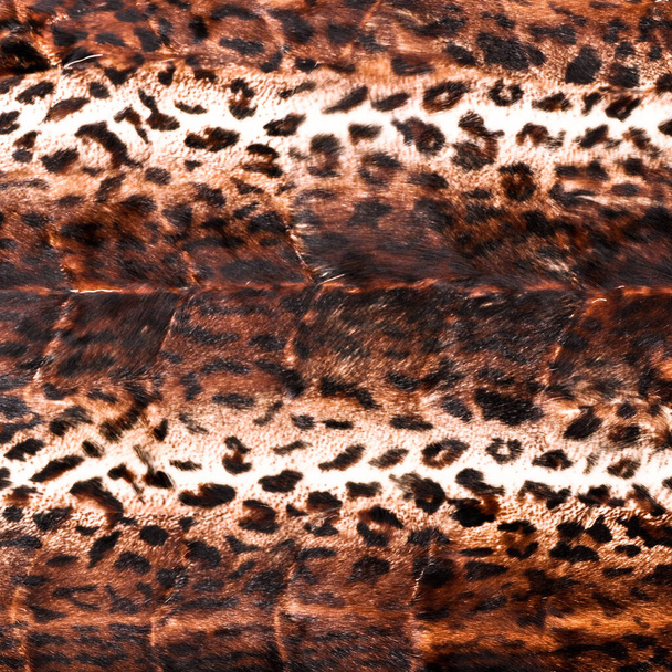 Natural leopard fur texture, luxury outerwear for women fashion, original leopard skin - Foto, Imagem