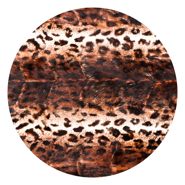 Naturalna tekstura futra lamparta, luksusowa odzież wierzchnia damskiej mody, oryginalna skóra lamparta - Zdjęcie, obraz
