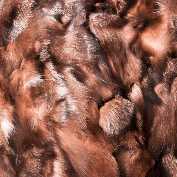 Texture fourrure naturelle, vêtements de luxe pour femme mode, texture manteau de fourrure porté par les femmes en hiver - Photo, image