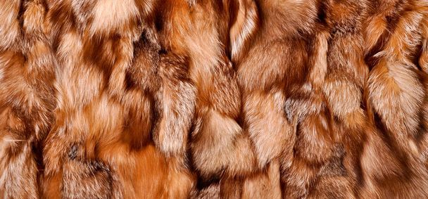 Textura de piel natural, ropa de abrigo de lujo para la moda femenina, textura de abrigo de piel usada por las mujeres en invierno - Foto, imagen