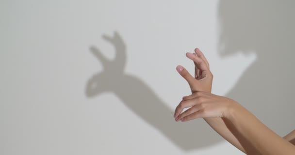 Woman making shadow deer with her hands - Πλάνα, βίντεο