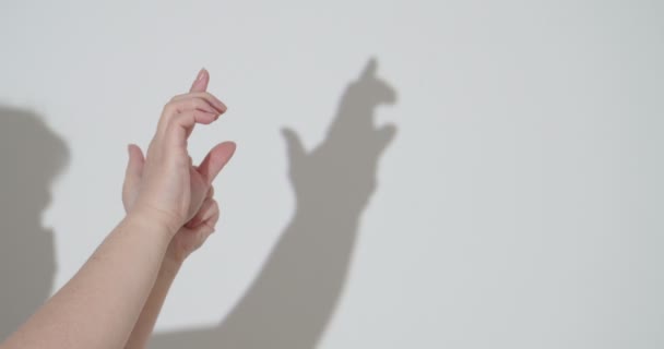Mujer haciendo sombra de canguro con sus manos - Metraje, vídeo