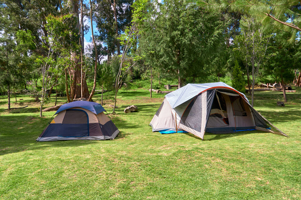 2 namioty w słonecznym zielonym lesie, reklama obrazu dla covid wolne wakacje alternatywa - Zdjęcie, obraz