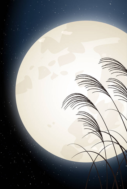 15 ночей Tsukimi Miscanthus background  - Вектор, зображення