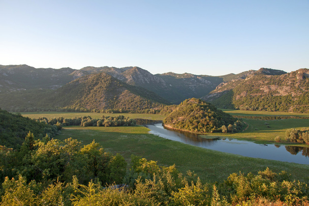 crnojevica річка в озеро Скадарського Національний парк, Чорногорія  - Фото, зображення