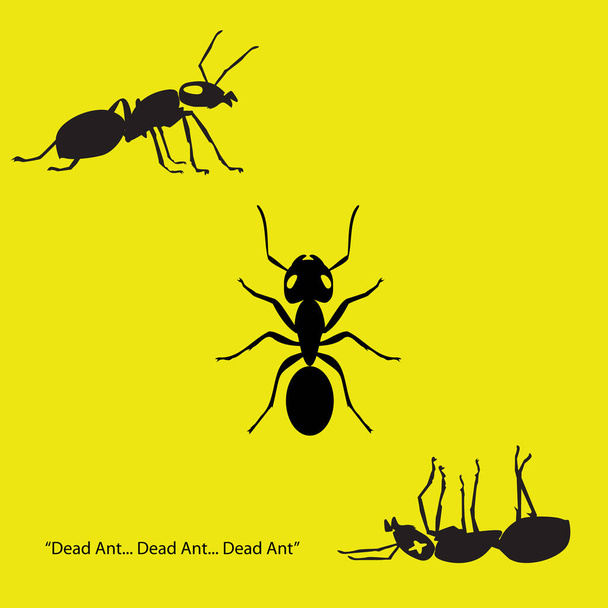tres hormigas: vista superior, vista lateral, vista muerta. vector de ilustración. - Vector, Imagen