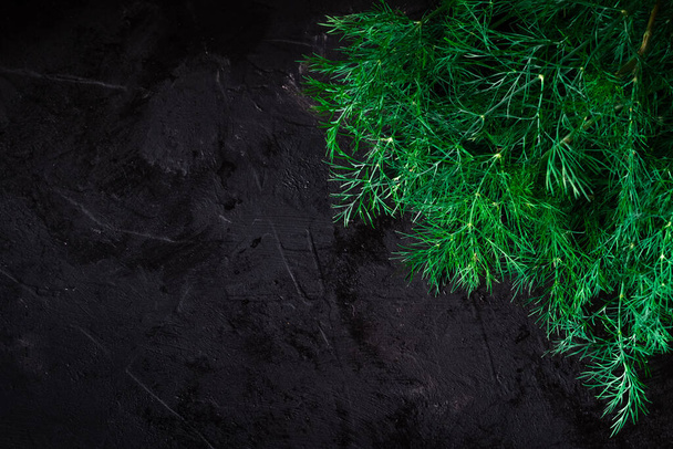Fresh dill on black background. Top view, low key, copy space - Фото, изображение