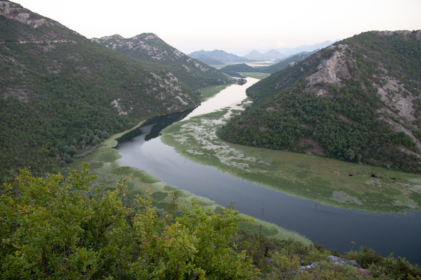 crnojevica Fluss in See Skadar Nationalpark, Montenegro  - Foto, Bild