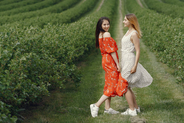 Elegant and stylish girls in a summer field - Fotoğraf, Görsel