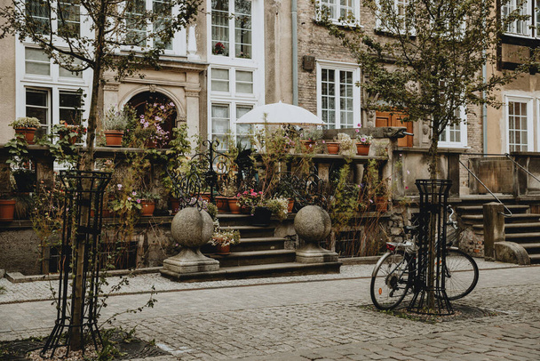 Traditional terrace in front of the old house with lots of flowers in historical center of the polish city Gdansk with bicycle leaning against a tree - Foto, Imagen