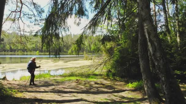 Starší žena chodí sama s nordickými holemi u jezera v zeleném lese. zdravý životní styl po odchodu do důchodu. - Záběry, video