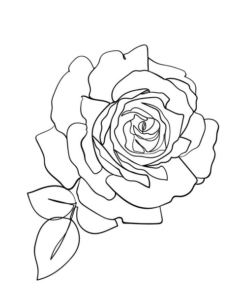 Rose flower icon. Line drawing. - Vector illustration - Vettoriali, immagini