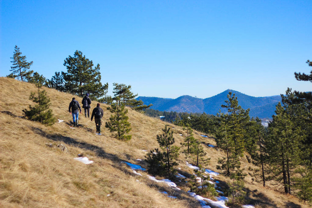 A group of people walking in the mountains with many trees - Foto, imagen