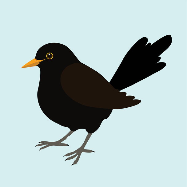 Een illustratie van een merel. Het is een mannelijke vogel en de achtergrond is lichtblauw. De vogel is uitgesneden.. - Vector, afbeelding