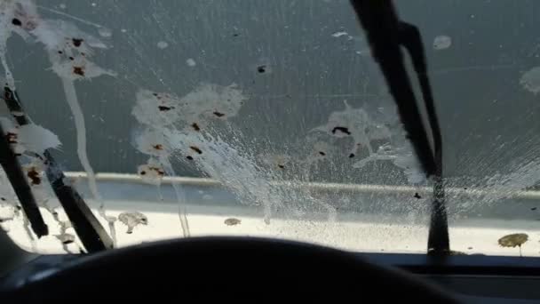 Egy autó szélvédője sok madárürülékkel.. - Felvétel, videó