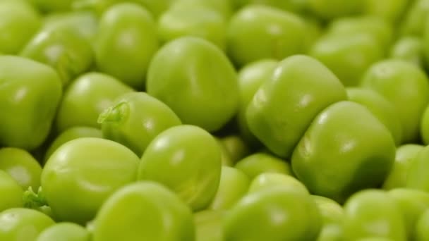新鮮な有機緑のエンドウ豆のマクロショット。野菜の収穫｜健康食品. - 映像、動画
