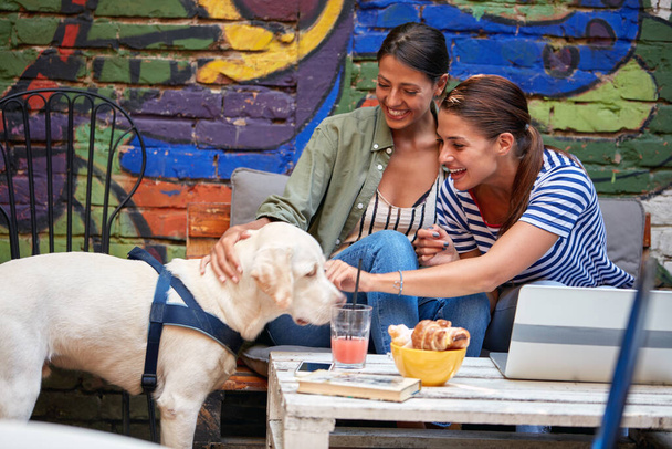 Two beautiful female students are enjoying a company of a dog in a pleasant atmosphere in the bar. Leisure, bar, friendship, outdoor - Fotoğraf, Görsel