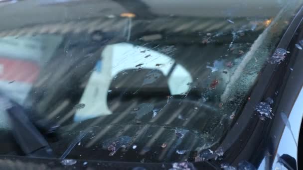 Ветровое стекло автомобиля в птичьем помёте. - Кадры, видео