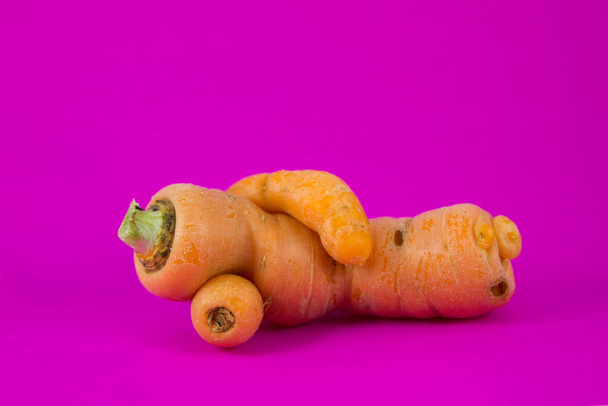 An isolated funny carrot looking like a resting man on a vibrant pink background - Foto, Imagem