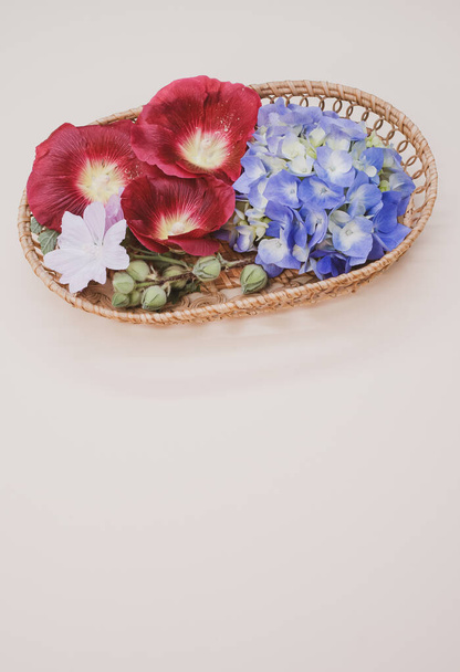 A vertical shot of vibrant red and blue flowers in a basket on a pastel background with copy space below - Zdjęcie, obraz