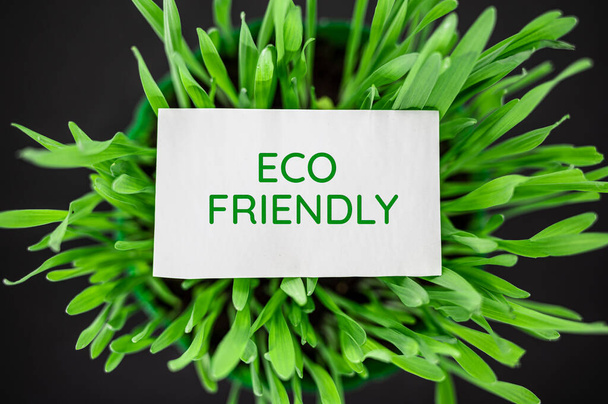Κάτοψη του πράσινου γρασιδιού με κείμενο φιλικό προς το περιβάλλον - Φωτογραφία, εικόνα