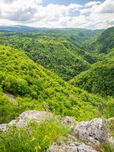 Вертикальный захватывающий вид на горы, покрытые зелеными деревьями и облачным небом - Фото, изображение