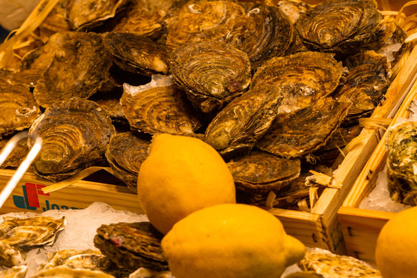 A high angle shot of fresh french oysters with lemons on ice ready for sale - Φωτογραφία, εικόνα